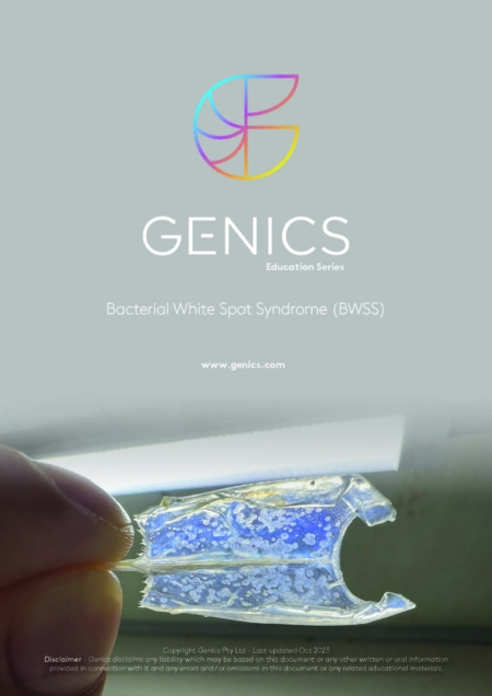 Bacterial White Spot Syndrome (BWSS)