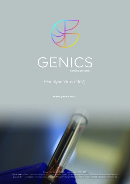 Mourilyan Virus (MoV)