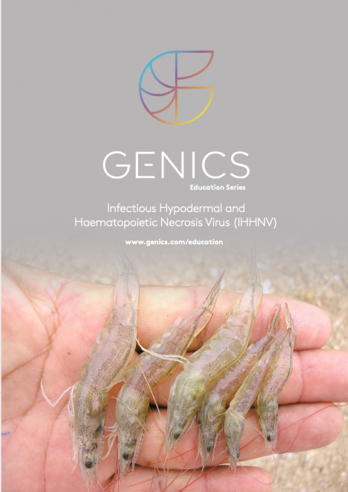 Infectious Hypodermal and Haematopoietic Necrosis Virus (IHHNV)