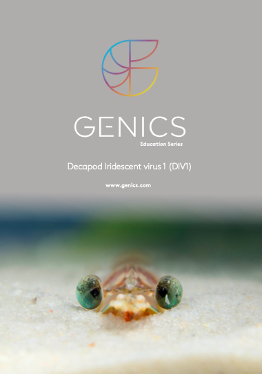 Decapod Iridescent virus 1 (DIV1)