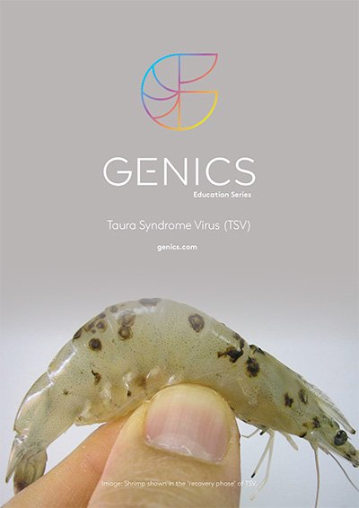 Taura Syndrome Virus (TSV)